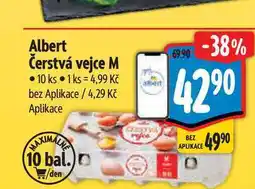 Albert Albert Čerstvá vejce M 10 ks nabídka