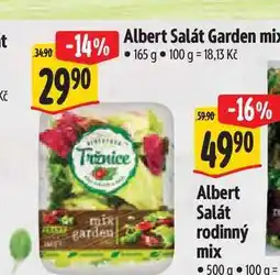 Albert Albert Salát Garden mix 165 g nabídka