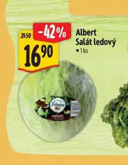 Albert Albert Salát ledový 1 ks nabídka