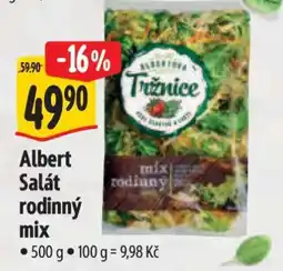 Albert Albert Salát Rodinný mix nabídka