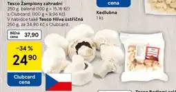 Tesco Tesco Žampiony zahradní nabídka