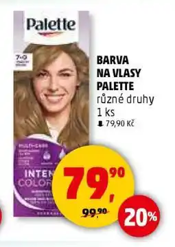 BARVA NA VLASY PALETTE