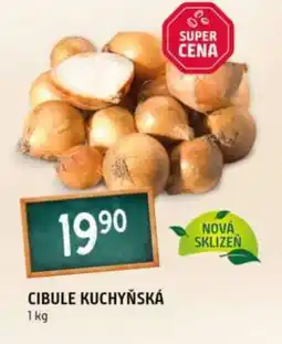 Terno Cibule kuchyňská nabídka