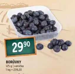 Terno Borůvky nabídka