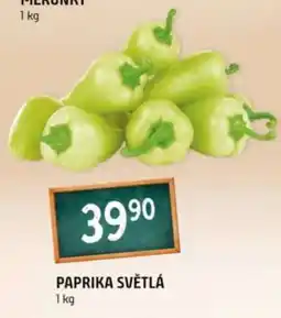 Terno Paprika světlá nabídka