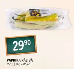 Terno Paprika pálivá nabídka