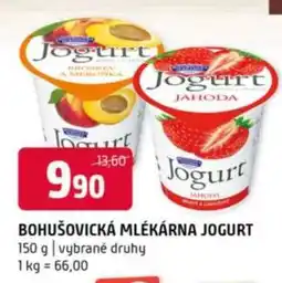 Terno BOHUŠOVICKÁ MLÉKÁRNA JOGURT nabídka