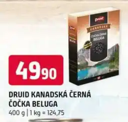 Terno DRUID KANADSKÁ ČERNÁ ČOČKA BELUGA nabídka