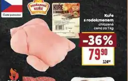 Billa Kuře s rodokmenem nabídka