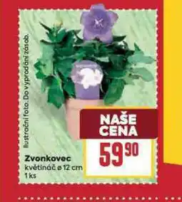 Billa Zvonec nabídka