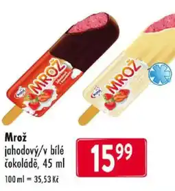 Qanto Mrož jahodový/v bílé čokoládě nabídka