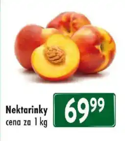 Qanto Nektarinky nabídka