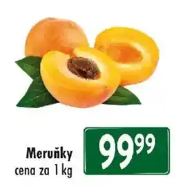 Qanto Meruňky nabídka