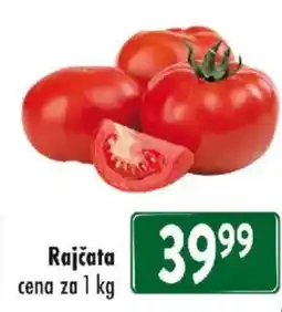 Qanto Rajčata nabídka