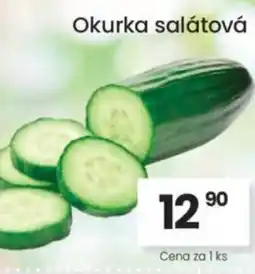 Kubík potraviny Okurka salátová nabídka