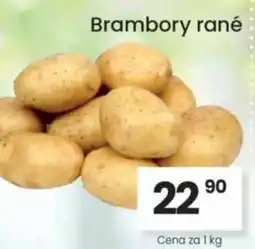 Kubík potraviny Brambory rané nabídka