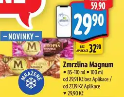 Albert Zmrzlina Magnum nabídka
