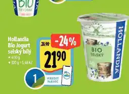 Albert Hollandia bio selský jogurt nabídka