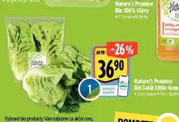 Albert Bio salát little gem nabídka