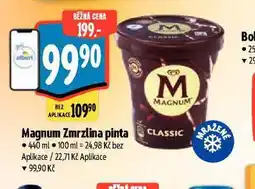 Albert Magnum zmrzlina pinta nabídka