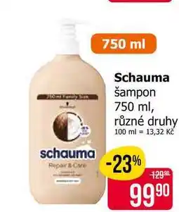 Teta Schauma šampon 750 ml, různé druhy nabídka