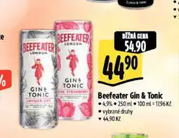 Albert Beefeater gin & tonic nabídka