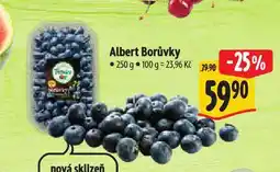 Albert Borůvky nabídka