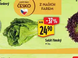 Albert Salát římský nabídka