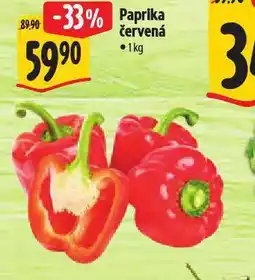 Albert Paprika červená nabídka