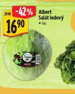 Albert Salát ledový nabídka