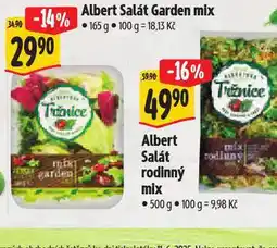 Albert Salát garden mix nabídka