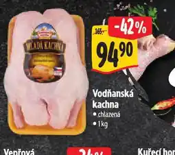 Albert Vodňanská kachna nabídka