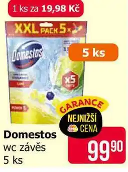 Teta Domestos wc závěs 5 ks nabídka