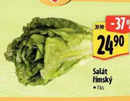 Albert Salát římský nabídka