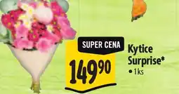 Albert Kytice Surprise nabídka