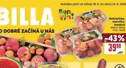 Billa Broskve nabídka