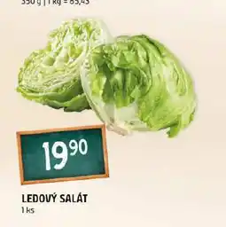 Terno Ledový salát nabídka