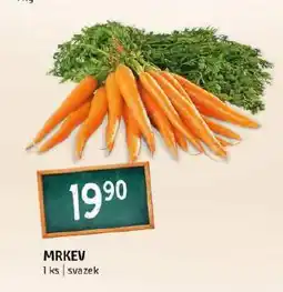 Terno Mrkev nabídka