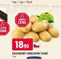 Terno Brambory konzumní rané nabídka