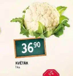 Terno Květák nabídka