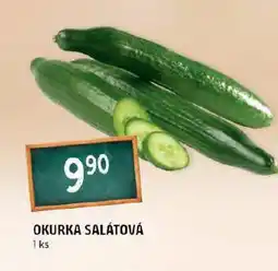 Terno Okurka salátová nabídka