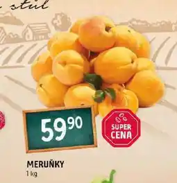 Terno Meruňky nabídka