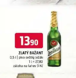 Terno Pivo zlatý bažant nabídka