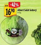 Albert Albert Salát ledový nabídka