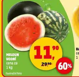 Penny Market Meloun vodní nabídka