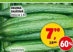 Penny Market Okurka salátová nabídka