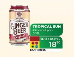 Tamda Foods TROPICAL SUN Zázvorové pivo 0,33L nabídka