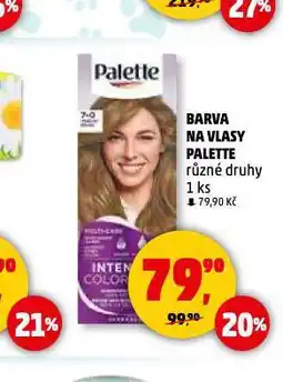 Penny Market Palette barva na vlasy nabídka