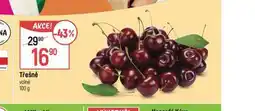 Globus Třešně nabídka