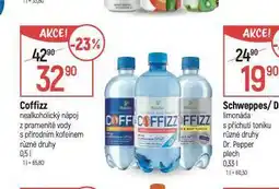Globus Coffizz nabídka